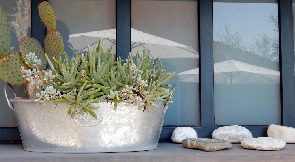 I Freschi Apartment San Bartolomeo Al Mare Luaran gambar